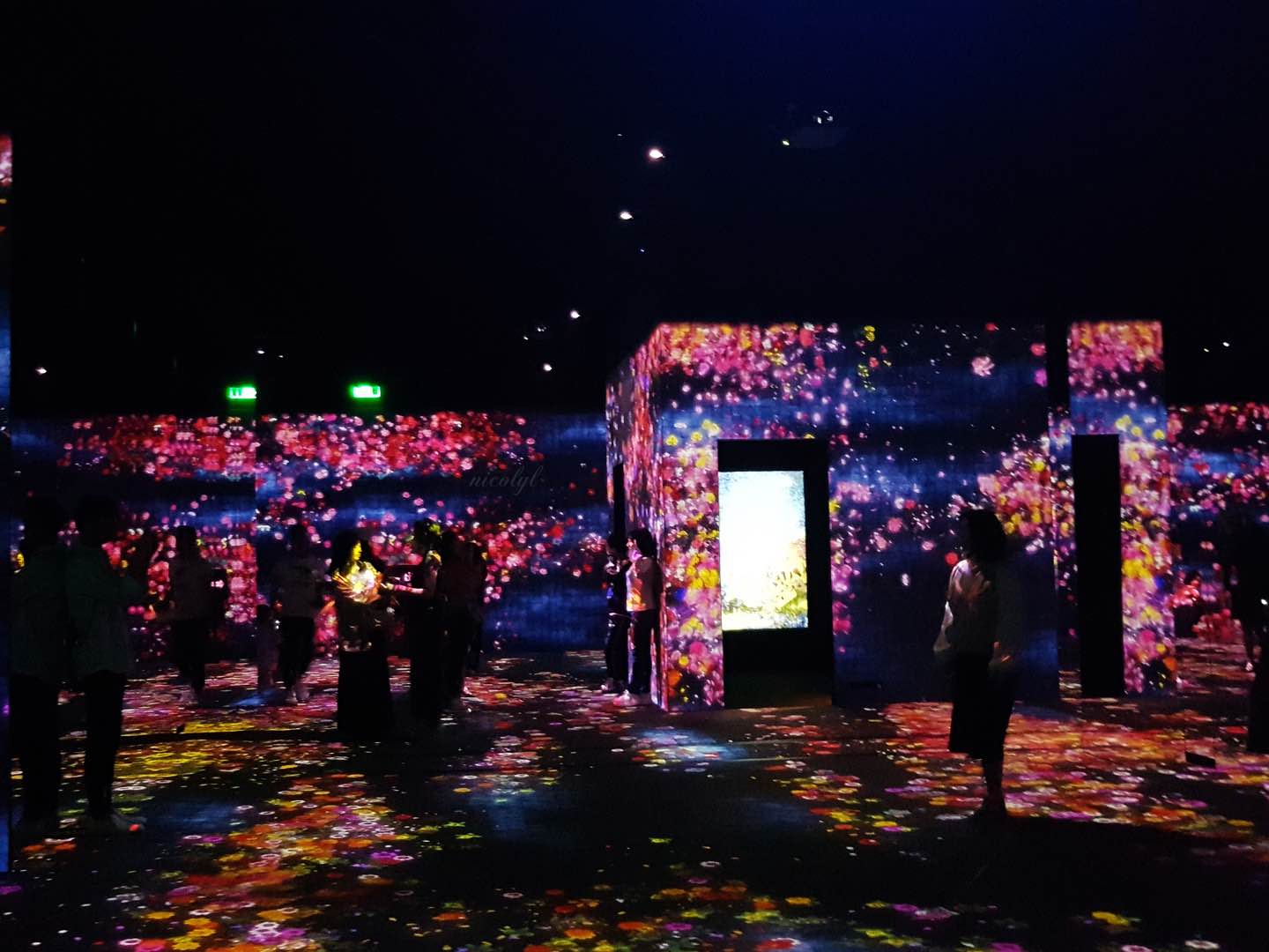 teamLab at Pace Beijing