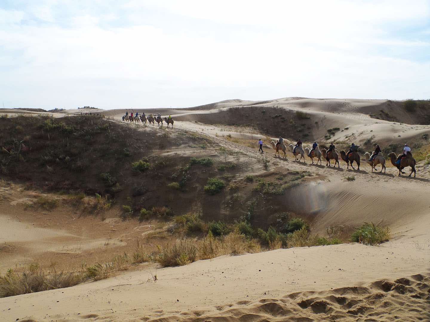 Kubuqi Desert Inner Mongolia