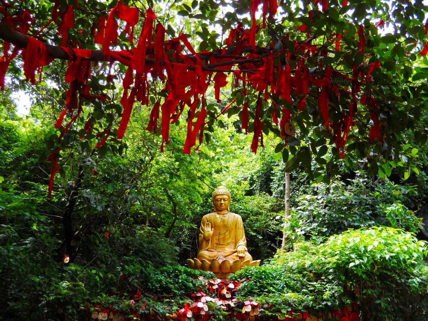 Guangzhou Guangdong baiyuan Shan white cloud mountain