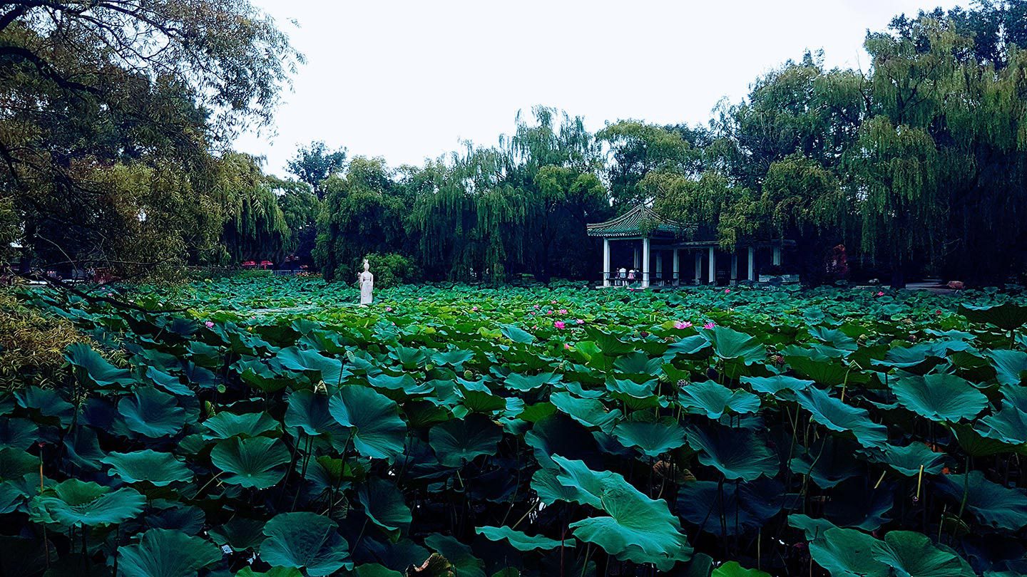 Shenyang Liaoning beiling park 黄郁蕾 nicol yuk lui Wong yukluistyle Huang yu lei nicolyl