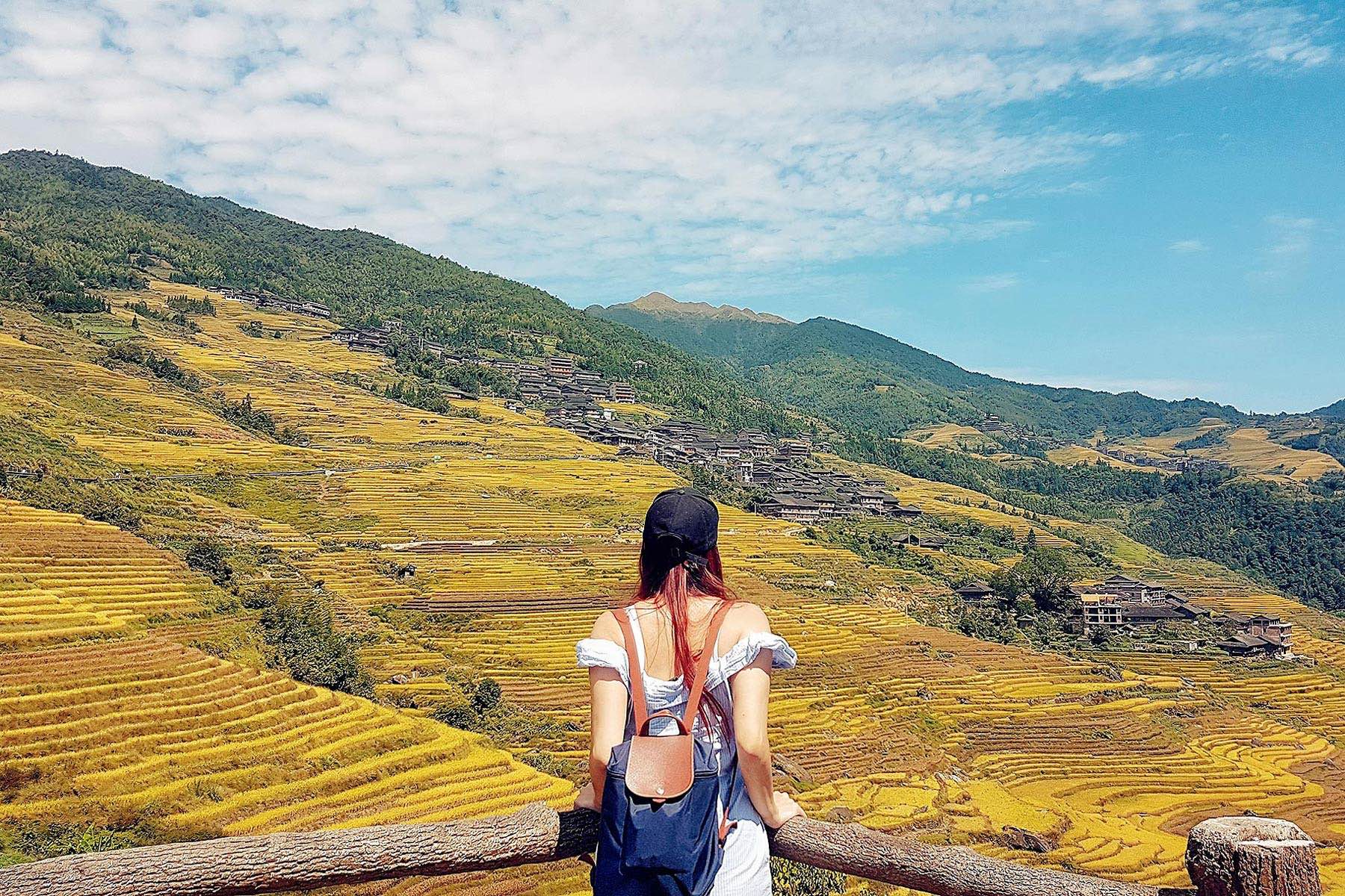 nicolyl Guilin china golden rice terrace fields October