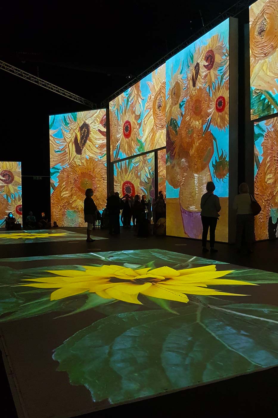 van gogh alive uk london birmingham mediacity manchester salford quays sunflowers